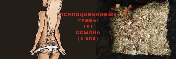 прущие крисы Бородино