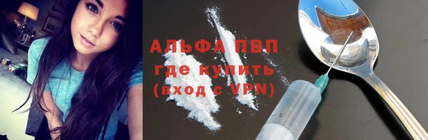 прущие крисы Бородино