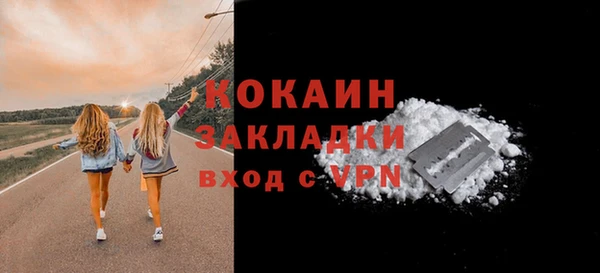 прущие крисы Бородино