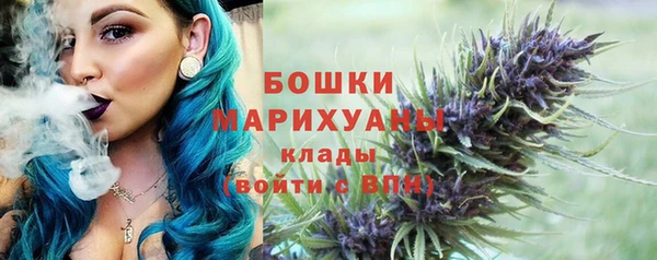 прущие крисы Бородино