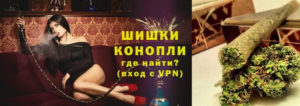 прущие крисы Бородино