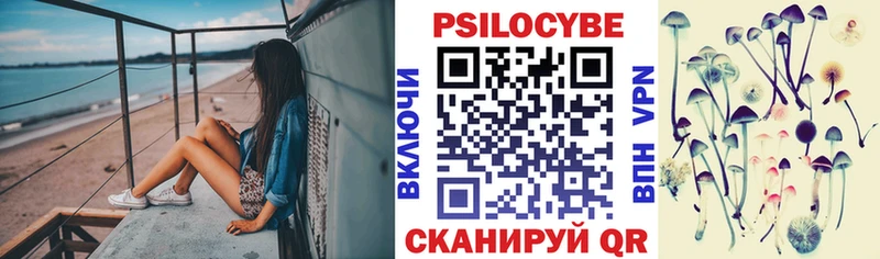 где купить   Горняк  нарко площадка наркотические препараты  Псилоцибиновые грибы мицелий 
